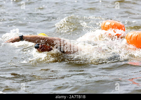 Schwimmer in Scharen in das Meer in 2019 Lanzhou Internationale Open Water Swimming Herausforderung in Lanzhou Stadt teilzunehmen, East China ¯ s Jiangsu p Stockfoto