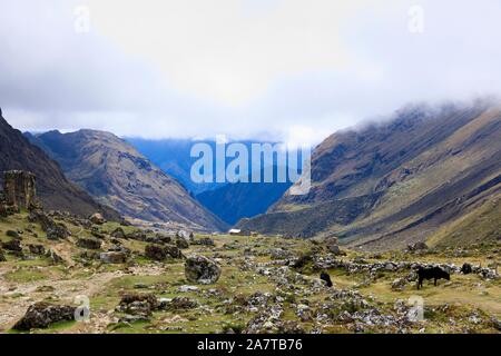 Salkantay trekking, einer der schönsten Wanderwege in Peru, es endet u in Machu Pichcu Stockfoto