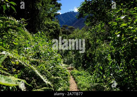 Salkantay trekking, einer der schönsten Wanderwege in Peru, es endet u in Machu Pichcu Stockfoto