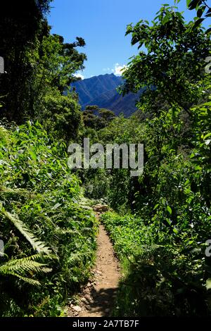 Salkantay trekking, einer der schönsten Wanderwege in Peru, es endet u in Machu Pichcu Stockfoto