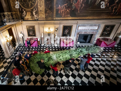 Ein Weihnachtsbäume installiert wird, wie, vierzehn Weihnachtsbäume, bis zu 24 ft in der Höhe, in der Nähe von Chatsworth House, Bakewell, Derbyshire ankommen, für die Einrichtung rund um das stattliche Haus vor der Weihnachtszeit Öffnung für die Öffentlichkeit am Samstag. Stockfoto
