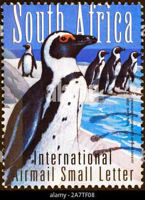 Jackass Pinguine auf südafrikanische Briefmarke Stockfoto