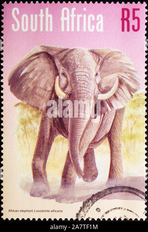 Elefant auf südafrikanische Briefmarke Stockfoto