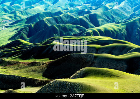 Landschaft der Kalajun Grünland in Tekes County, Ili kasachischen Autonomen Präfektur, Nordwesten Chinas Autonome Region Xinjiang Uygur, 9. Juli 2019. Stockfoto