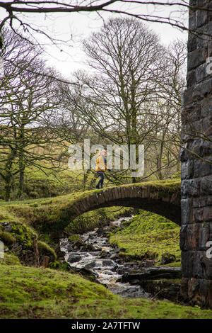 Eine Frau kreuzt eine kleine Brücke aus Stein unter einem Eisenbahnviadukt bei Cowgill, in der Nähe von Ribblehead, in Dentdale, North Yorkshire National Park. Stockfoto