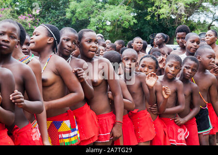 Young Zulu Mädchen führen Sie einen traditionellen Tanz während der jährlichen Tembe Marula Festival in KwaZulu-Natal, Südafrika. Stockfoto