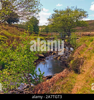 Fußgängerbrücke über Wheeldale Gill Stream auf der North York Moors, Yorkshire, England, Großbritannien Stockfoto