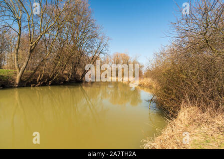 Odra River mit Bäumen um klare Himmel über zwischen Kosatka und Polanka nad Odrou und in der Tschechischen Republik während schön früh Frühling Tag Stockfoto