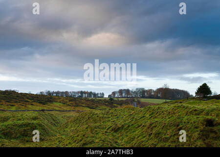 Ein herbstlicher Vormittag im Ubley Warren Nature Reserve in der Mendip Hills National Landscape, Somerset, England. Stockfoto