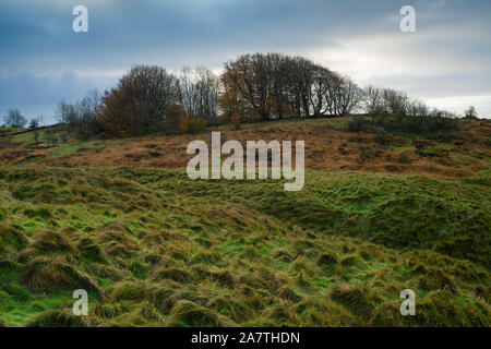 Ein herbstlicher Vormittag im Ubley Warren Nature Reserve in der Mendip Hills National Landscape, Somerset, England. Stockfoto