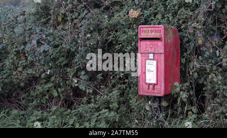 November 2019 - Ländliche schreiben in einer Hecke auf der Somerset Levels in der Nähe von Glastonbury Stockfoto