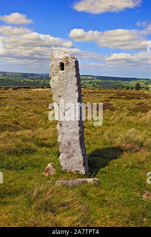 Alte Standing Stone auf der North York Moors, Yorkshire, England, Großbritannien