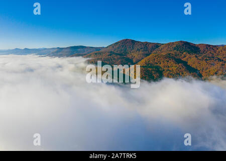 Luftaufnahme von Nebel und Herbst Wald Stockfoto