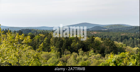 Ausblick auf das Tal von der Spitze eines Berges in den Ozarks, Arkansas Stockfoto