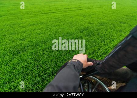 Blick auf den Frühling Feld aus dem Heißluftballon Warenkorb Stockfoto