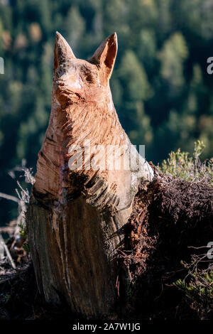 Sonnige Nahaufnahme einer holzschnitzerei von einem Fuchs aus einem Baumstamm noch in seinen Platz in einem Wald in der Nähe von Voels am Schlern in Italien Stockfoto