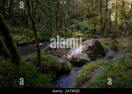 Die River Fowey durch die alte Eiche Waldland von Draynes Holz bei Golitha Falls fließt in Cornwall. Stockfoto