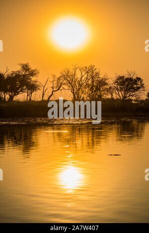 Flusslandschaft im Okavango Delta bei Sonnenuntergang, Moremi Wildlife Reserve, Ngamiland, Botswana Stockfoto