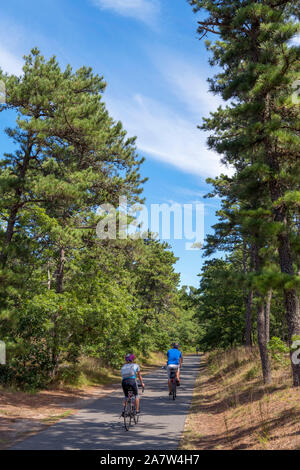 Cape Code Rail Trail, ein Fahrrad Route durch Nickerson State Park, Cape Cod, Massachusetts, USA, Stockfoto