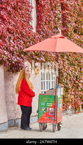 Eine weibliche Verkäufer steht im Herbst auf dem Bürgersteig außerhalb der Efeubewachsene Mauer des Trinity College zu einem Mobile Kiosk und verkauft Tickets für die Hop-on h Stockfoto