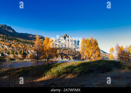 Wunderbare Herbst Landschaft im Engadin in der Nähe von Sankt Moritz. Schweizer Alpen Stockfoto