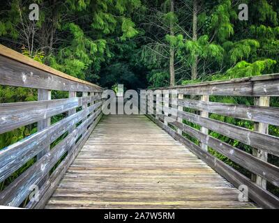 Wakodahatchee Feuchtgebiete erhöhten Promenade in Florida Stockfoto
