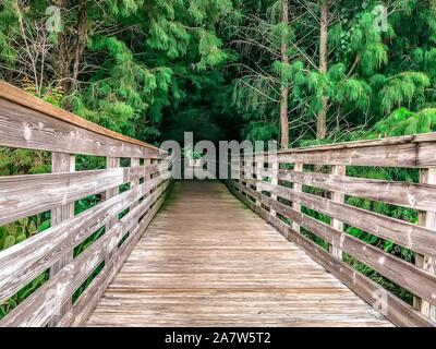 Wakodahatchee Feuchtgebiete erhöhten Promenade in Florida Stockfoto