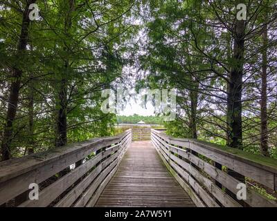 Wakodahatchee Feuchtgebiete erhöhten Promenade in Florida Stockfoto