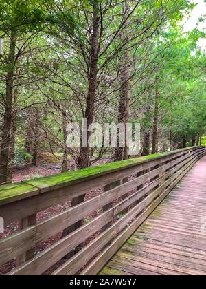 Wakodahatchee Feuchtgebiete erhöhten Promenade in Florida Stockfoto