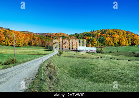 Idyllische herbst Farm, Lesen, Vermont, USA. Stockfoto