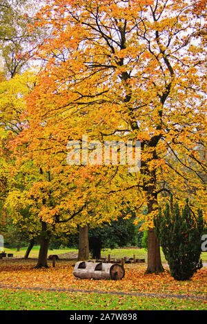 Herbst in Thompson Park, Burnley, Lancashire Stockfoto