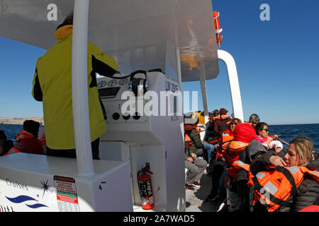 Whale Watching Boot besessen ny Südlichen Geist, Halbinsel Valdes, Provinz Chubut, Argentinien, Patagonien. Stockfoto