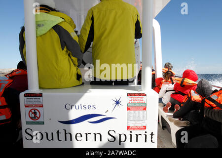 Whale Watching Boot besessen ny Südlichen Geist, Halbinsel Valdes, Provinz Chubut, Argentinien, Patagonien. Stockfoto