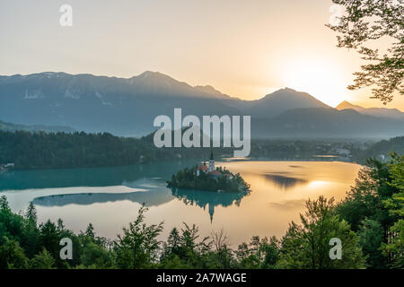 See durch Vegetation, an einem sonnigen Tag Bled. Natürlichen Rahmen. Stockfoto