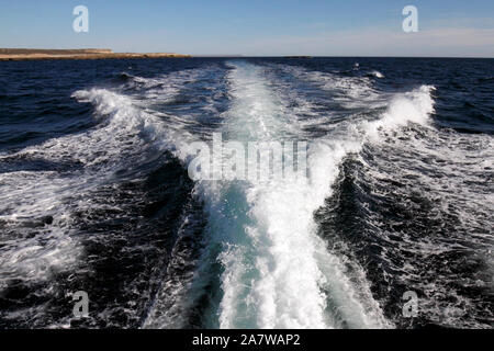 Rippe schnelles Boot. Stockfoto