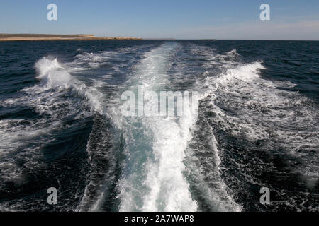 Rippe schnelles Boot. Stockfoto