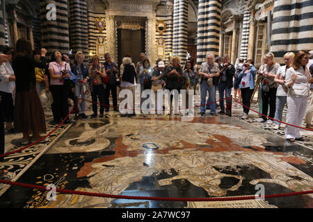 Innenansicht der fußbodenmosaik und die Linie der Touristen an der Kathedrale Santa Maria Assunta in Siena, Italien. Stockfoto