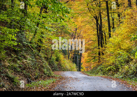 Unbefestigte Mountain Road mit Herbstlaub, Vermont, USA. Stockfoto