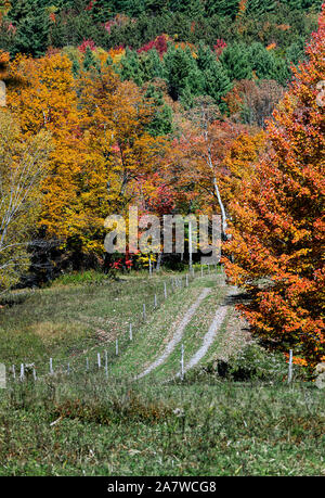 Unbefestigte Country Road, Stowe, Vermont, USA. Stockfoto