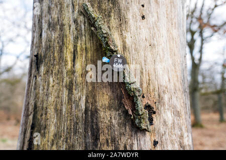 Eine natürliche Beerdigung Grab, Hofgeismar, Weserbergland, Nordrhein-Westfalen, Hessen, Deutschland, Europa Stockfoto