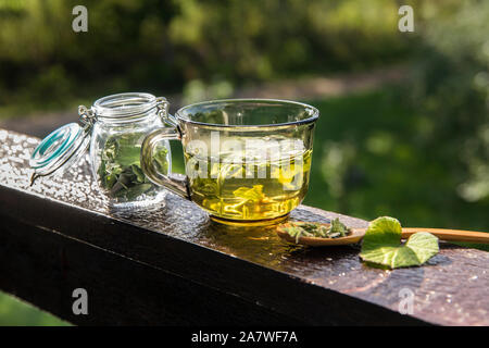 Getrocknete Tussilago farfarfarfarfarfara ( Hustkraut, Tashpflanze, Farfarfara), die allgemein als Coltsfoot bekannt ist und als natürliches Hustenmittel gilt. Tee-Glas mit Glas Stockfoto