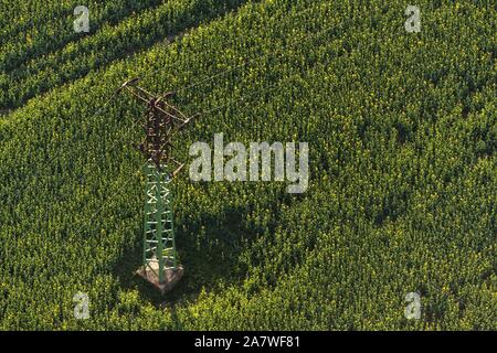 High Voltage Pylon in der Mitte des Feldes Stockfoto