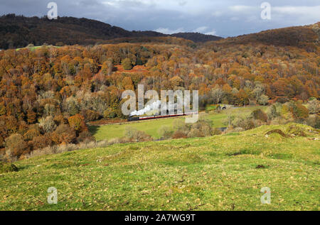 42073 Köpfe weg von Newby Bridge am See & Haverthwaite Eisenbahn. Stockfoto