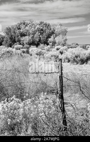 Eine alte Stacheldraht Zaunpfosten in der hohen Wüste in der Nähe von Bishop California in Schwarz und Weiß. Stockfoto