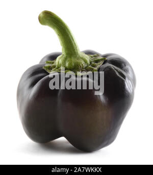 Hässliche schwarze Paprika auf weißem Hintergrund. Organische Erbstück Gemüse Konzept closeup Stockfoto