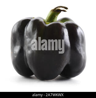 Heirloom schwarze Paprika auf weißem Hintergrund. Hässliche Bio Gemüse Konzept closeup Stockfoto