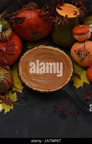 Hausgemachte braun Pumpkin Pie mit Rohrzucker mit Kürbissen und Blätter auf schwarzem Hintergrund Kopie Raum serviert. Low Key still life Low Angle View Stockfoto