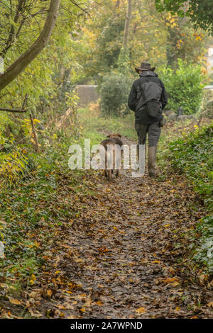 Ein Mann, sein Kreuz Rasse Hund über die gefallenen Blätter in Ladderbanks Lane, Baildon, Yorkshire. Stockfoto