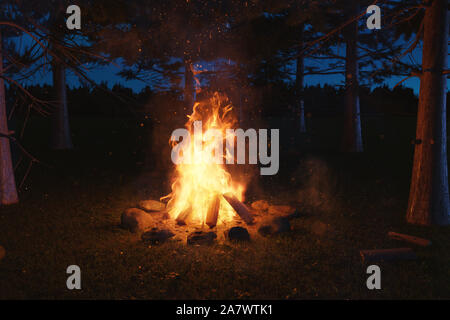 3D-Rendering von großen Lagerfeuer mit Funken an Wald in der Nacht Stockfoto