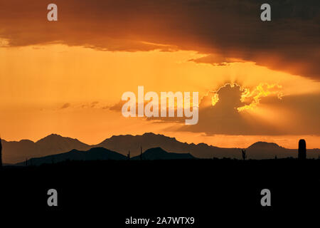 Ein teleobjektiv Sonnenuntergang von Saguaro Kaktus und Sonoran Berge mit Hintergrundbeleuchtung. Stockfoto